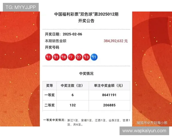 掌握开云彩票规则的关键点:提升中奖率的实用技巧与注意事项
